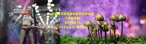Альфа ПВП Нефтегорск