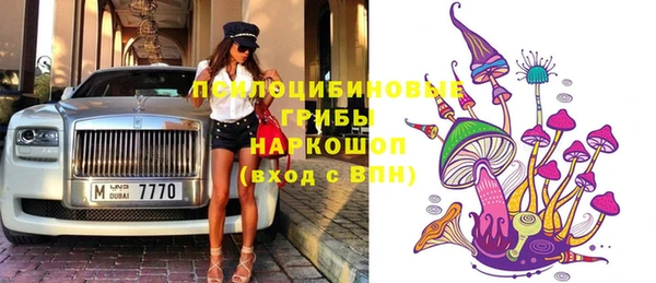 ПСИЛОЦИБИНОВЫЕ ГРИБЫ Новозыбков