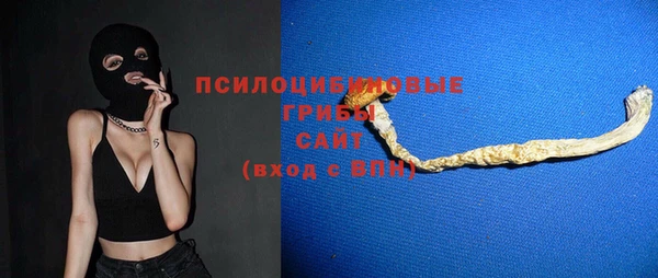 ПСИЛОЦИБИНОВЫЕ ГРИБЫ Новозыбков