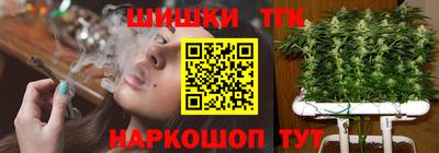 стафф Гай