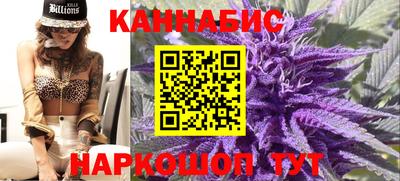 мяу мяу мука Гатчина