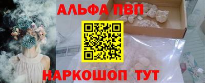 стафф Гай