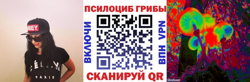 кракен рабочий сайт  Зеленокумск  Псилоцибиновые грибы Psilocybine cubensis  даркнет сайт 