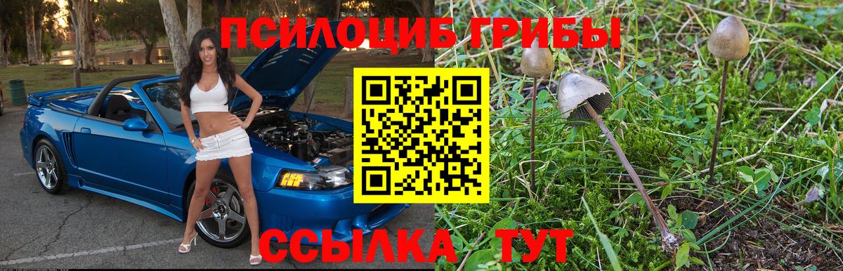 Галлюциногенные грибы мицелий Зеленокумск