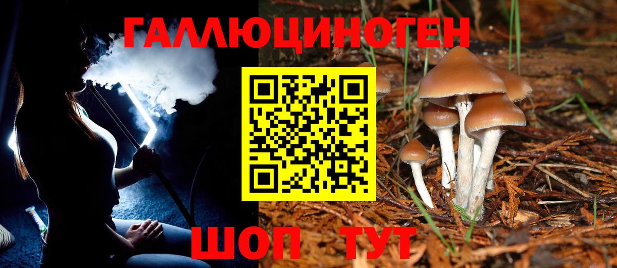 Галлюциногенные грибы Psilocybe  Псилоцибиновые грибы Cubensis  Вход с VPN  Зеленокумск 