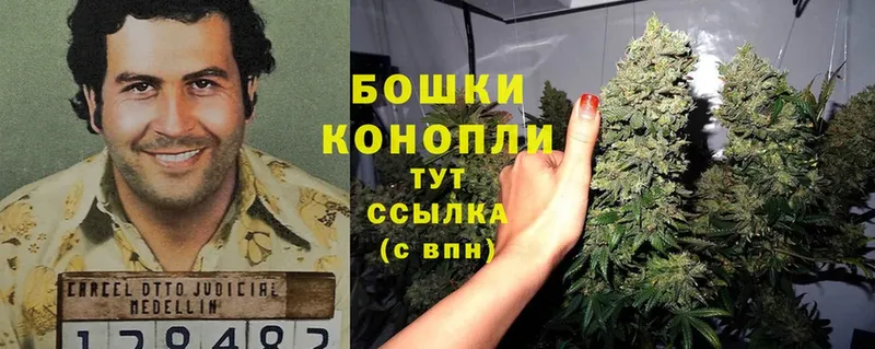 Шишки марихуана White Widow  Зеленокумск 