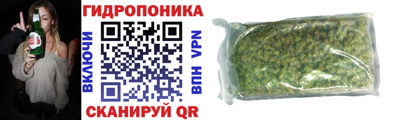Бошки Шишки гибрид  продажа наркотиков  shop официальный сайт  Зеленокумск 